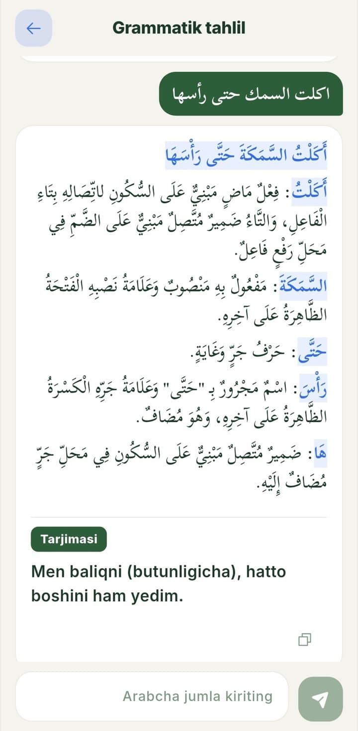 Bayan AI: grammatik tahlil